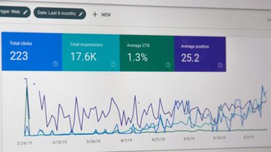 seo xidmeti nedir seo xidmetleri nece edilir