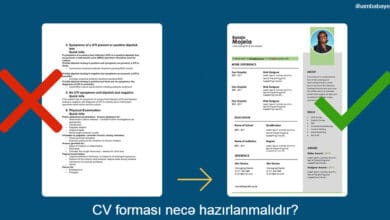 cv formasi nece hazirlanmalidir, hazir cv formalari