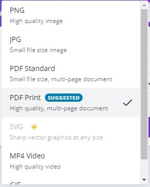 pdf cv formalari