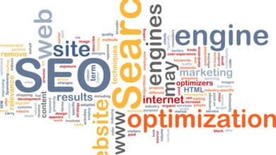 seo terminləri