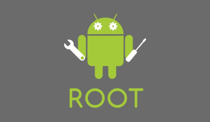 root nədir