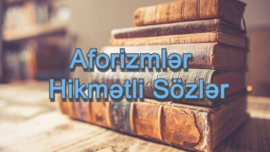 aforizmler ve hikmetli sozler